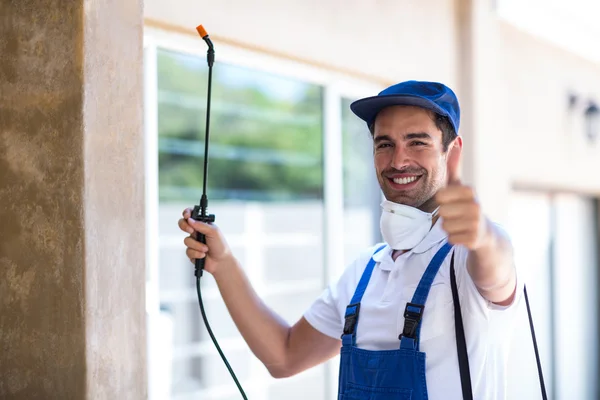 Cathedral City Wasp Removal