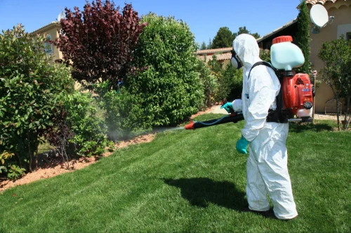Cathedral City Mosquito Control