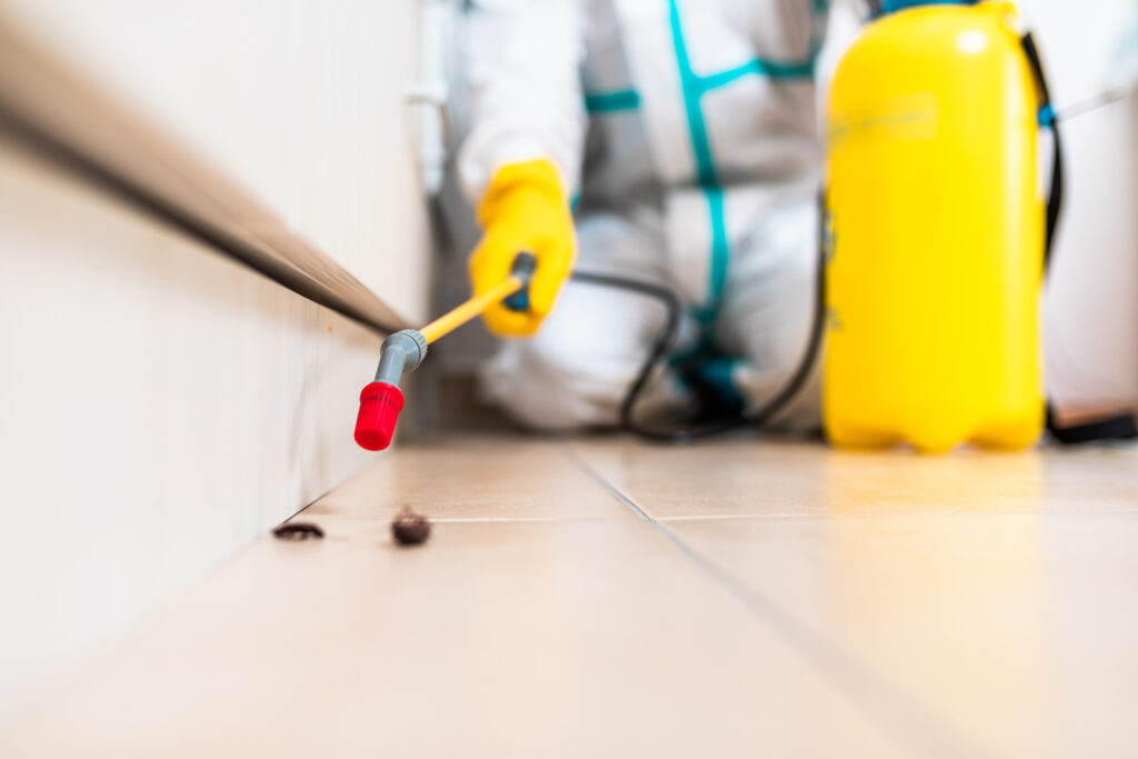 Cathedral City Cockroach Experts