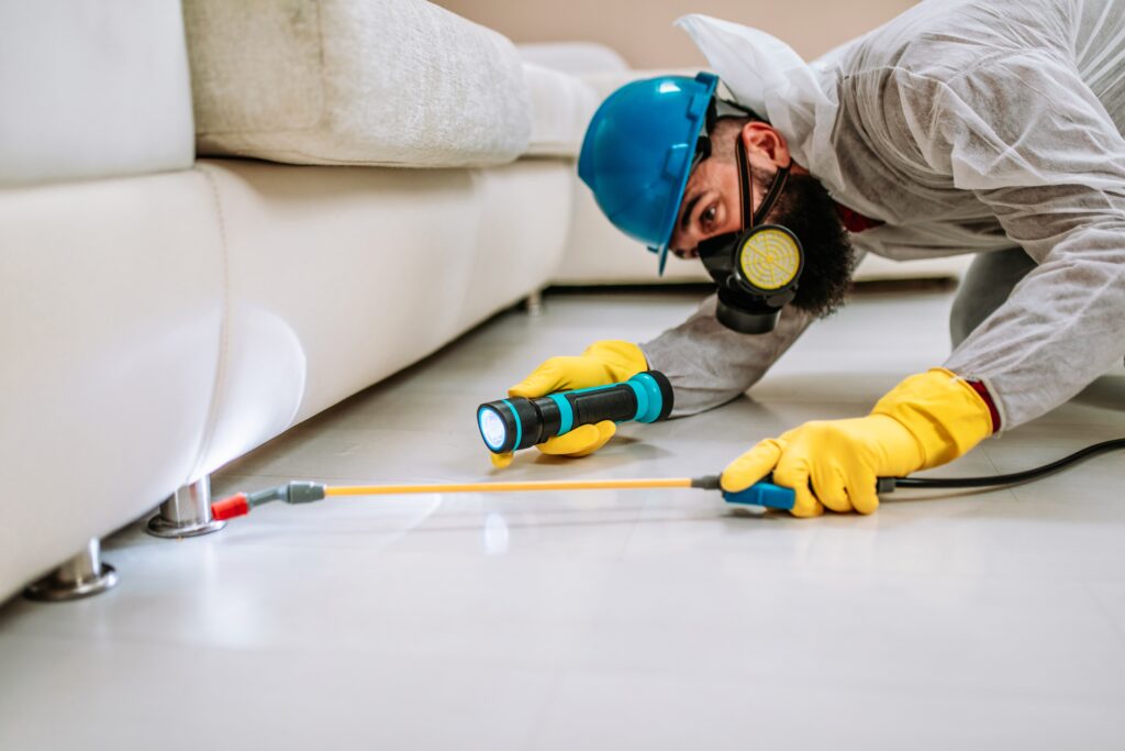 Cathedral City Termite Control