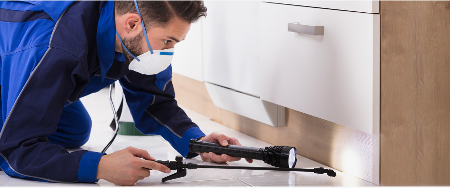 Cathedral City pest xpert removal