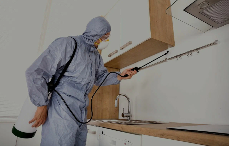 Cathedral City pest managment