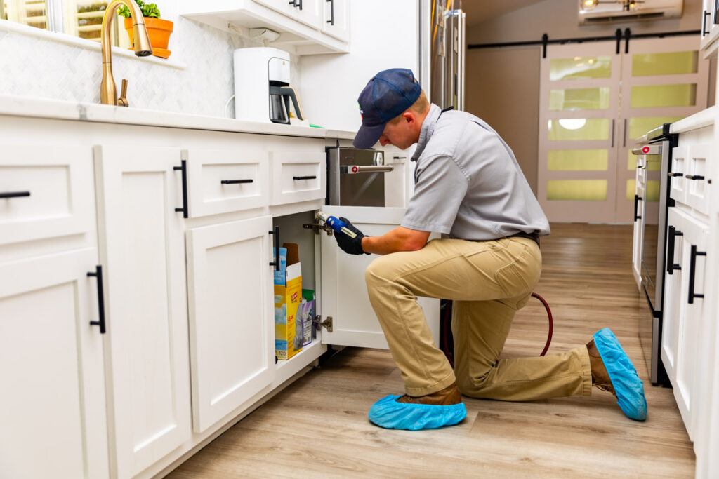 Cathedral City xpert pest management
